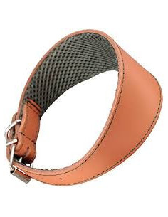 Collar Galgo 45Cm Marron Arppe