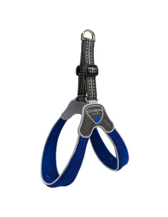 Arnes Cinquetorri T4 Azul 35cm-45cm Coralpina