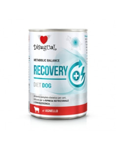 DSG Dieta Recovery Cordero 400gr
