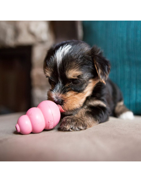 Kong Puppy L Azul