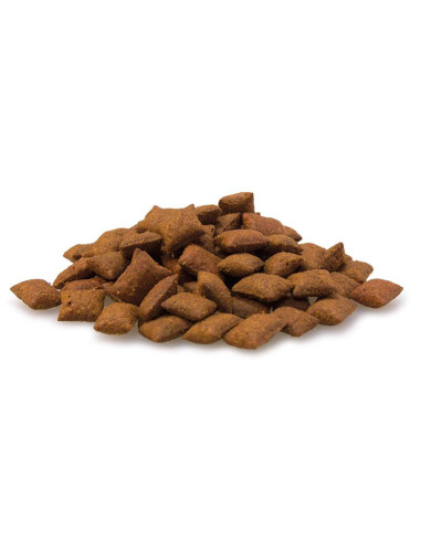 Malta Bits Gato 40Gr Arquivet