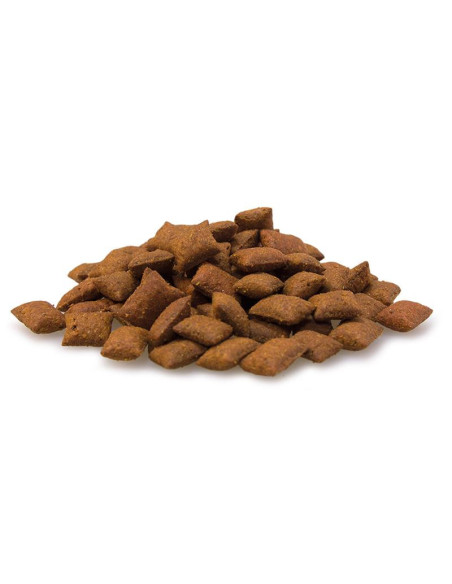 Malta Bits Gato 40Gr Arquivet