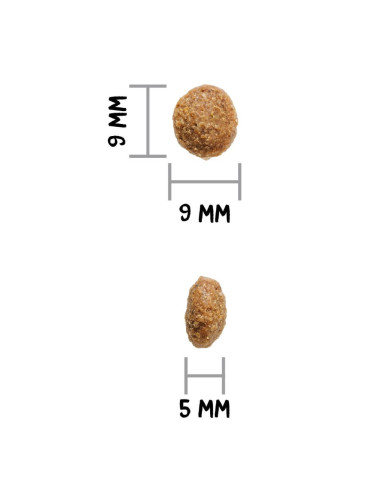 Ownat Author Cerdo y Cordero fresco 3Kg LowGrain