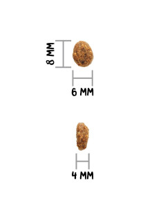 Ownat Author Gato Esterilizado Pollo fresco 3Kg 2
