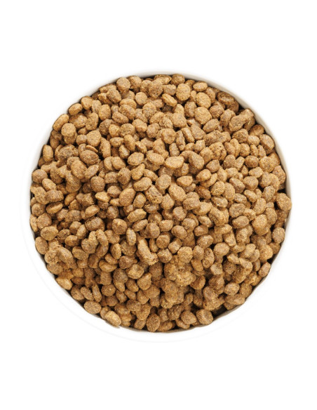 Ownat Author Gato Pescado y Aves 1,5Kg