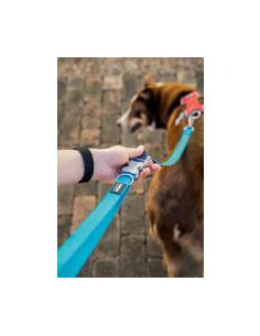 Red Dingo Correa Super Lead Negro 2