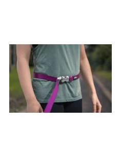 Red Dingo Correa Super Lead Morado 2