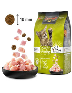 Leonardo GF Adult Poultry 300gr 2