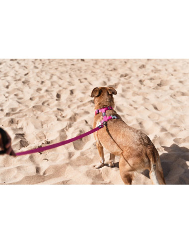 Red Dingo Petral liso Talla L FX