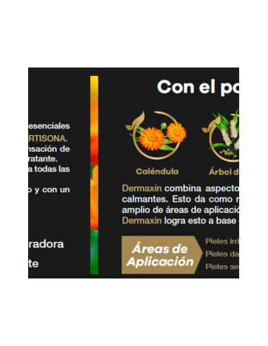 Dermaxin crema 100ml
