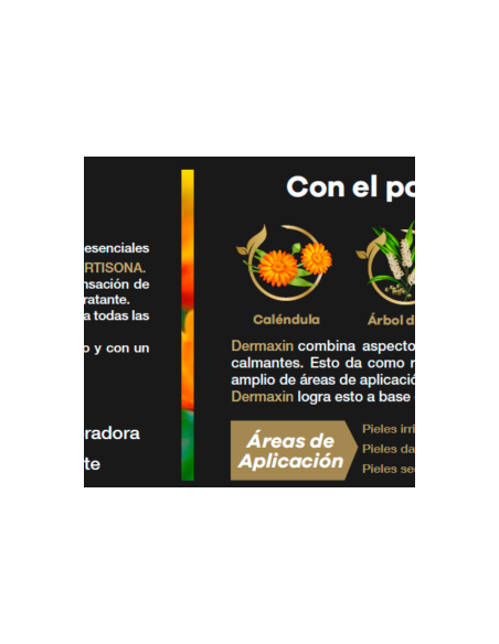 Dermaxin crema 100ml