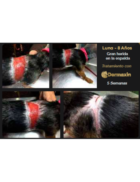 Dermaxin crema 100ml