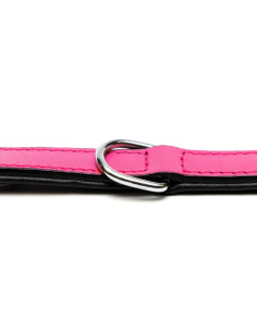 Collar piel acolchado Gloria T1 2