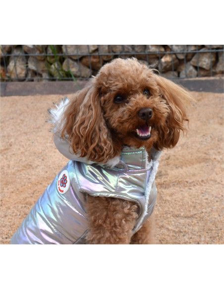 Chaqueta con capucha Planet Gris 30Cm