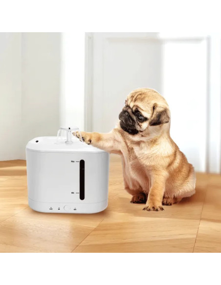 Fuente de agua smart