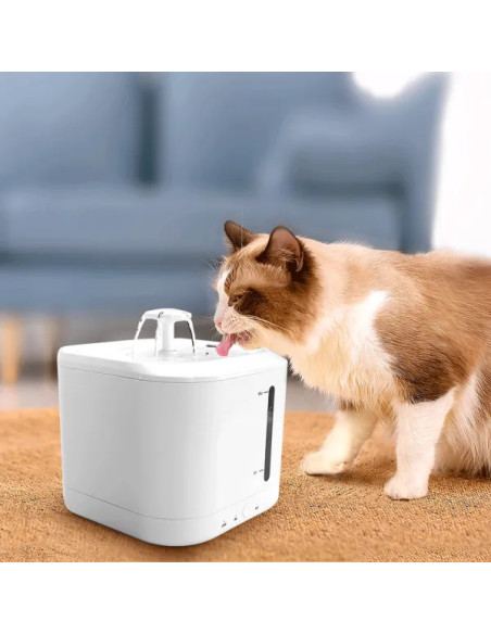 Fuente de agua smart