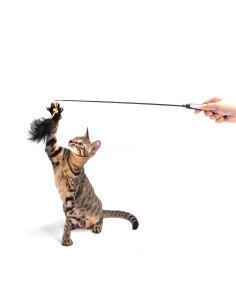Cana retráctil para gatos 54cm