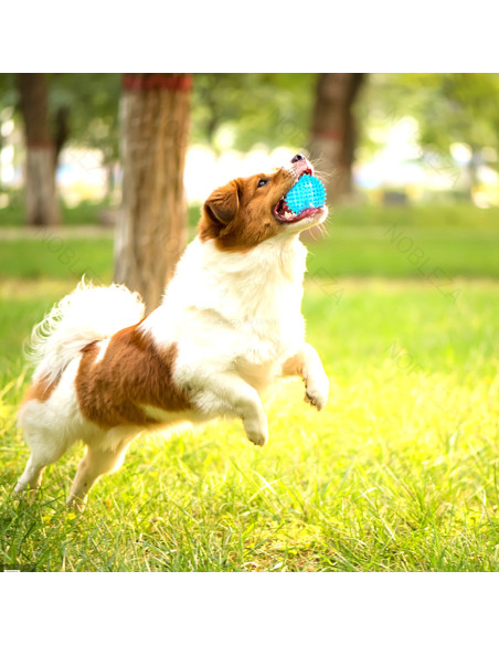 Pelota con luz intermitente 5,5 cm