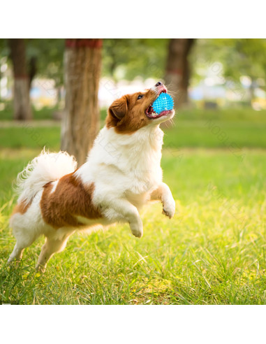 Pelota con luz intermitente 7,5 cm