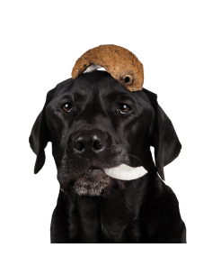 Tippy Tap Coco 100gr 2