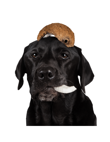 Tippy Tap Coco 100gr