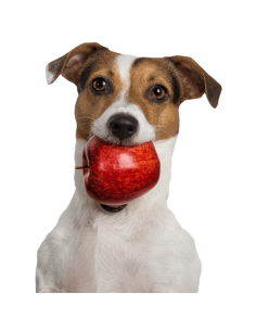 Tippy Tap Manzana Dulce 100gr 2