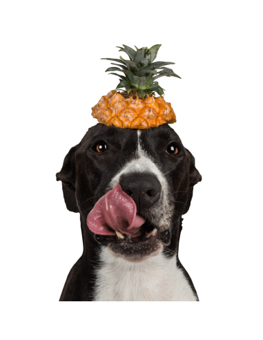 Tippy Tap Piña 80gr