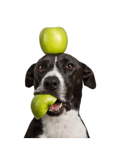 Tippy Tap Manzana 100gr 2