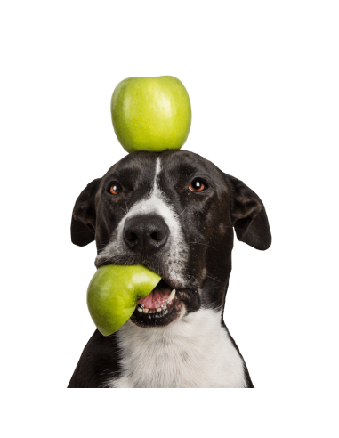 Tippy Tap Manzana 100gr