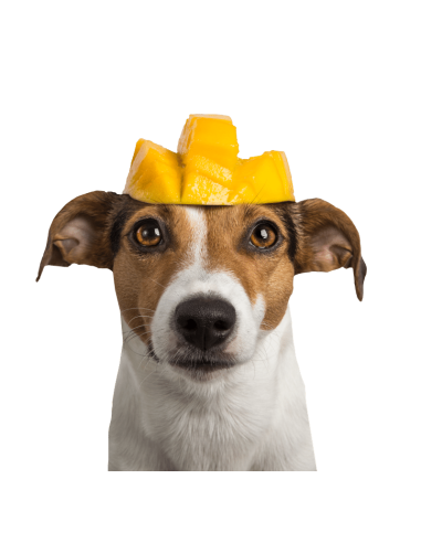 Tippy Tap Mango 80gr