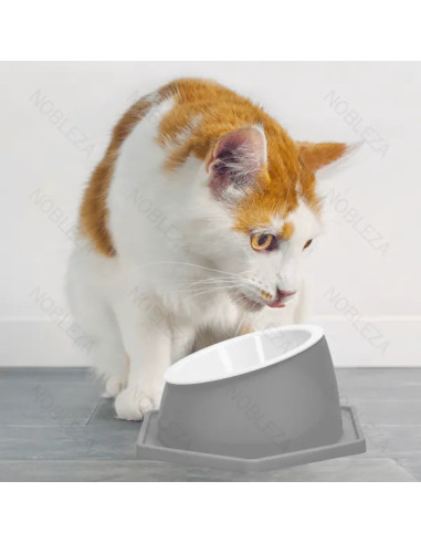 Cuenco elevado para gatos (gris)