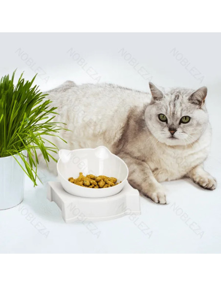 Set 2 en 1 de comida y agua para gatos