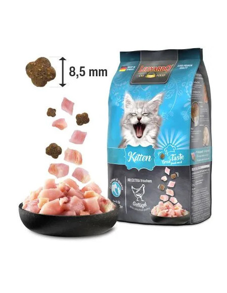 Leonardo Kitten 1,8Kg