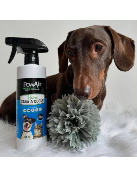 Powair Urine & Odour Spray 464Ml penetrator