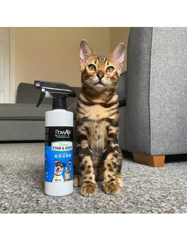 Powair Urine & Odour Spray 464Ml penetrator