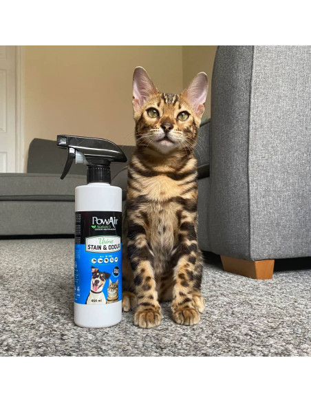 Powair Urine & Odour Spray 464Ml penetrator