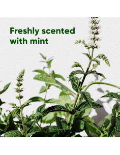 Becobags Mint 4 Rollos X 15 Bolsas (60 Total) 2