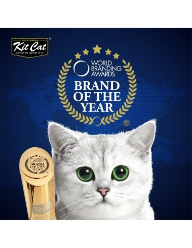 Kit Cat Lata Gravy - Atún Salmon 70g