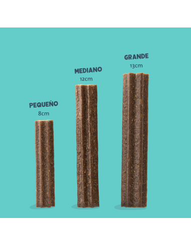 Edgar&Cooper Doggy Dental Manzana Eucalipto Medium