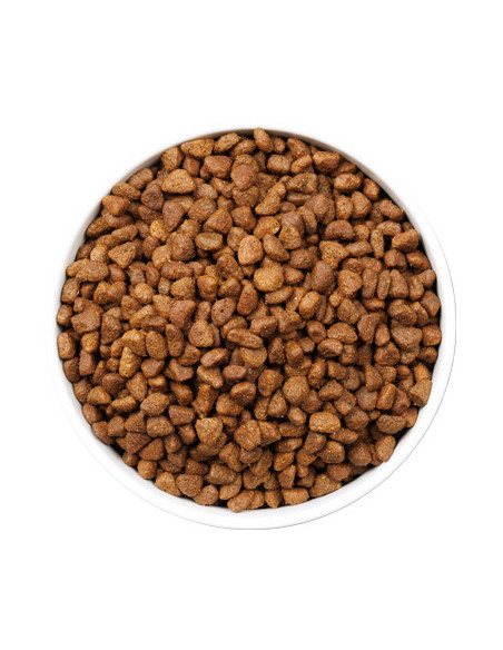 Ownat Ultra Cat Ageing Fish 1,5Kg