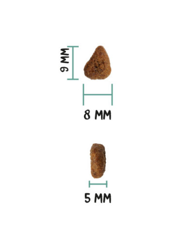 Ownat Ultra Cat Ageing Fish 1,5Kg