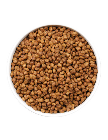 Ownat Ultra Cat Kitten 400gr