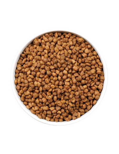 Ownat Ultra Cat Kitten 400gr