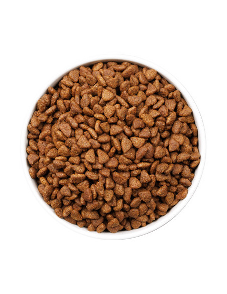 Ownat Ultra Cat Kitten Stz 400gr