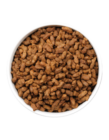 Ownat Ultra Cat Young Stz Pescado 1,5Kg