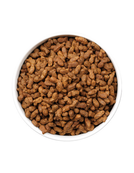 Ownat Ultra Cat Young Stz Pescado 1,5Kg