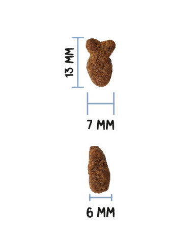 Ownat Ultra Cat Young Stz Pescado 1,5Kg