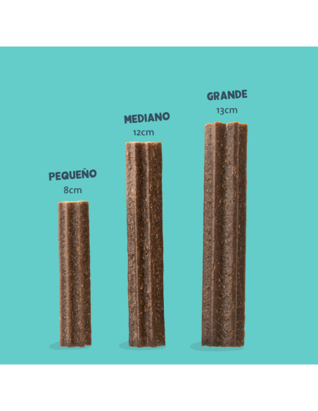 EdgarCooper Doggy Dental Fresa Menta Medium