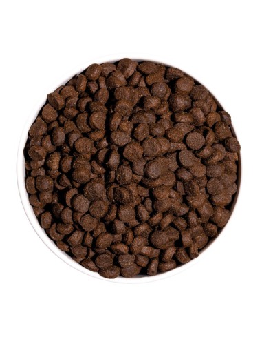 Ownat GF Prime Mini Adulto Cordero 1Kg