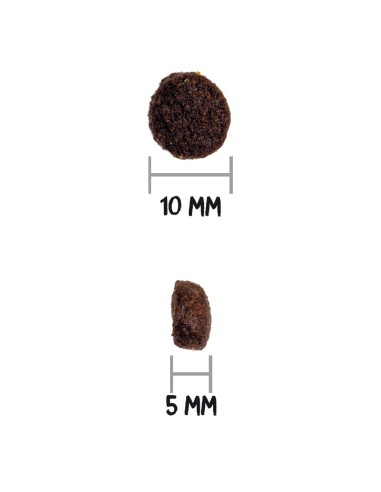 Ownat GF Prime Mini Adulto Cordero 1Kg